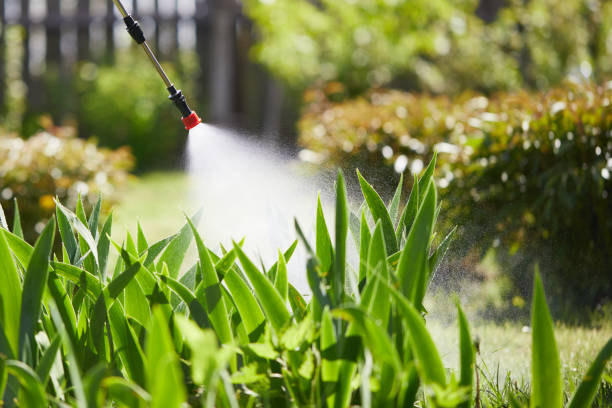 24/7 Emergency Mosquito Control experts in Bourbon, MO